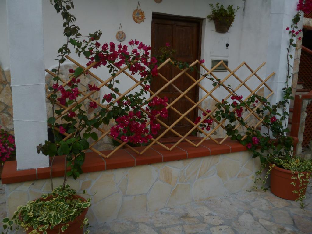 B&B La Taverna Dei Ciucci Foce del Sele Exteriér fotografie